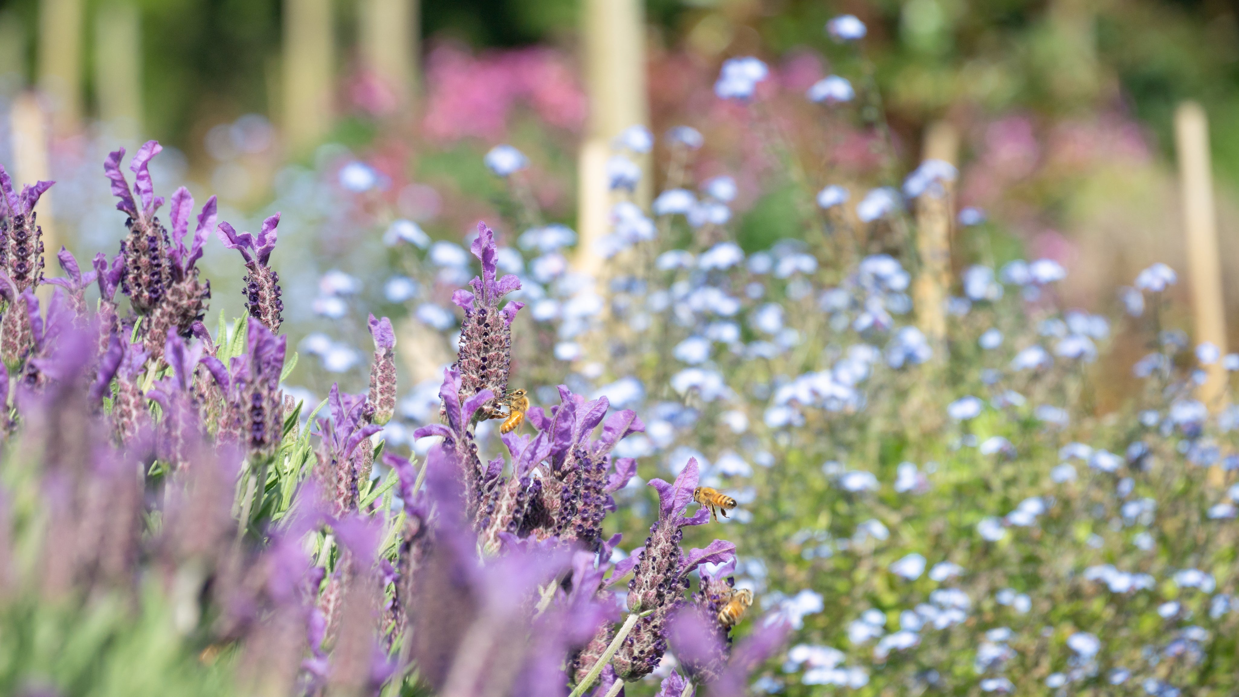 Why Organic Skincare Is Better For You And The Planet.