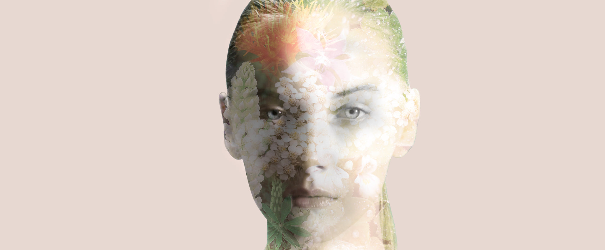 Do topical antioxidants protect from environmental ageing?