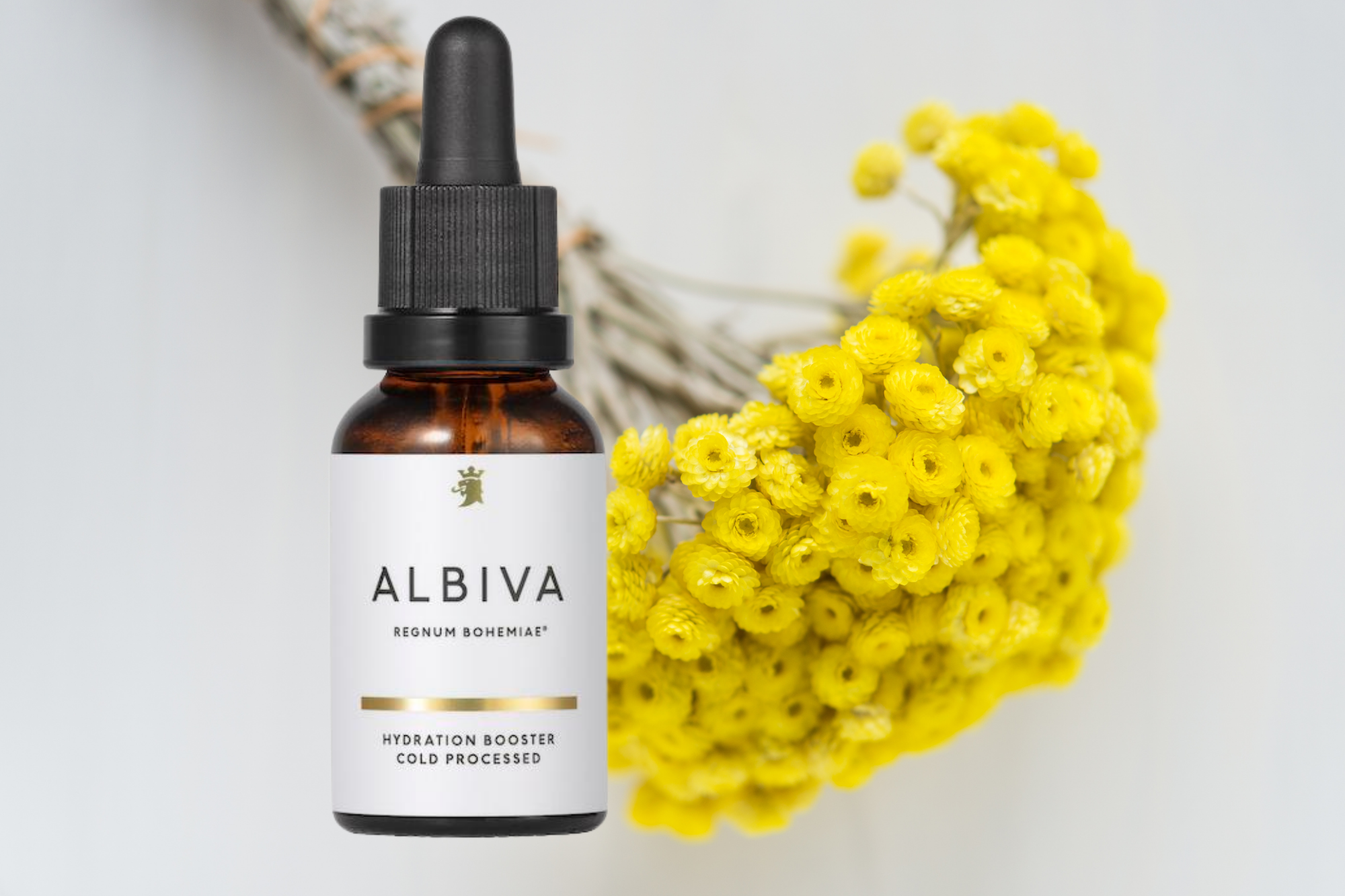 MEET OUR HERO ANTI-INFLAMMATORY INGREDIENT
