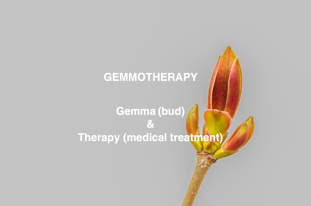 Gemmotherapy – Europe’s best kept secret?