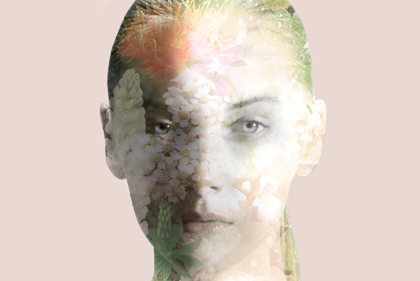 From Nature To Skin: Discover Nature’s Skin-Enhancing Ingredients